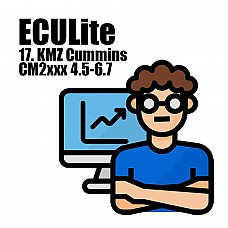 Модуль 17 ECULite