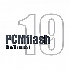 Модуль 19 PCMflash